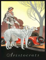 Vintage art deco divat plakát reprint elegáns arisztokrata hölgy kosztüm kalap agár kutya sportkocsi