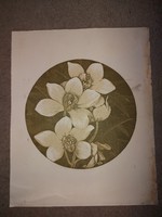 "Orchideák", linó, vagy szita, szignós, számozott, 40x50 cm