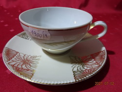 TK Thun  csehszlovák első osztályú  porcelán teáscsésze, más alátéttel. Vanneki!