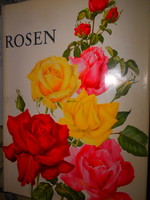 60 db  keretezhető kivehető rózsákról készült nyomat-Rózsák nagy könyve --.német nyelvű