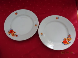 Zsolnay porcelán, sárga virágos lapostányér, átmérője 24 cm. Vanneki!