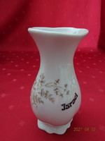Izraeli porcelán, barna mintás váza, Israel felirattal, magassága 14 cm. Vanneki!