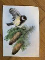 Aranyos Karácsonyi képeslap - Katona Györgyi grafika
