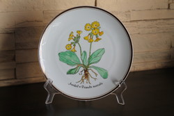 Rosenthal classic rose collection plants - nr. 1. Aurikel (primula auricula) wall plate