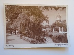 D184317 old postcard Szombathely pearl detail p 1949