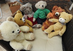 Elimination of teddy bear collection