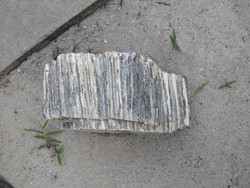 Rare large 20x13cm over 1000 year old set of petrified wood logs stone wood rock formation