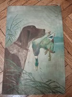 Dr. Bartha Hunting scene vizsla with wild duck
