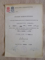Antik dokumentum Doktorrá Avatási Bizonyítvány 1968