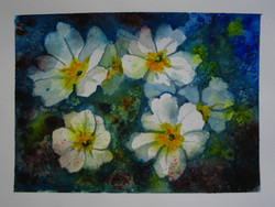 Moona - primroses / primroses original watercolor / original aquarell