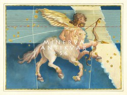 Sagittarius Sagittarius constellation constellation horoscope sign zodiac reprint j.Bayer uranometry 1625