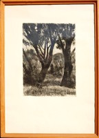 Iván Szilárd (1912-1988): Erdőrészlet - nagy méretű rézkarc, eredeti keretezésben