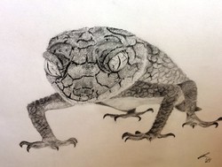Állati jó arcok! Ádáz gekkó, grafika, papíron, szignózott, egyetlen példány, üvegezett keretben