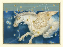 Pegazus szárnyas ló csillagkép égbolt térkép görög mitológia REPRINT J.Bayer Uranometria 1625