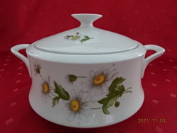 Lowland porcelain soup bowl with daisy pattern, top diameter 17 cm. He has! Jókai.