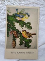 Régi grafikus karácsonyi képeslap fenyő, toboz, madár, kékcinke, vörösbegy 1947
