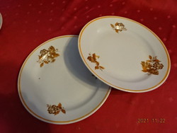 Zsolnay porcelán lapostányér, barna virágos, sárga szegélyes. Vanneki!