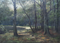 Leopold gratz reichenbacher: forest pond with wildflowers (oil on canvas, 47x35 cm)
