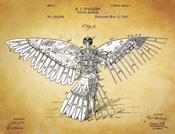 Old winged flying structure 1889 spalding invention patent drawing flight story, da vinci