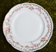 Antik Limoges porcelán tál tányér festett , aranyozott 24,5 x 2,5 cm