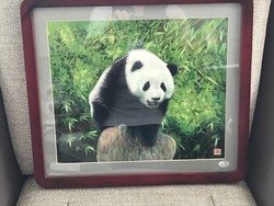 Panda picture made of wool with mahogany frame, 37 x 32 cm
