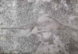 Leleszi Ilona (1956-) absztrakt rézkarc szignó nélkül 29x21 cm