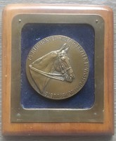 Gyula Maugsch: equestrian plaque