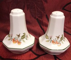 Fruity Salt and Pepper Spray, English Porcelain Table Spicy (m2008) for Sittingbird 3500 ft