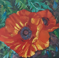 Antyipina Galina: Mák virág, olajfestmény, vászon. Festőkés. 40x40cm