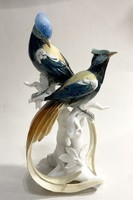Karl ens porcelain exotic bird pair