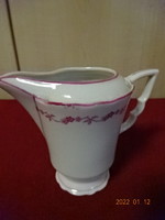 Zsolnay porcelain milk spout, antique, shielded, elephant, pink pattern. He has! Jókai.