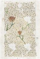 William morris - garden tulips - reprint