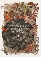 Wild grape leaf flower crop tendrils composition a.Seder 1896 Art Nouveau print reprint butterfly moth autumn