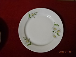 Plain porcelain flat plate, daisy pattern, diameter 24 cm. He has! Jókai.