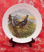 Siketfajdos vadász dísztányér, porcelán tányér (M1995)