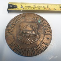 Bronze, copper one-sided plaque, coin.