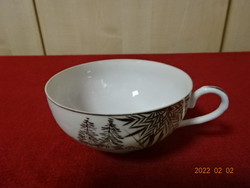 Japanese porcelain teacup with silver pattern on transparent. He has! Jókai.