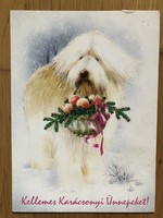 Aranyos Karácsonyi képeslap