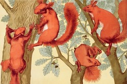 Maurice pillard verneuil - squirrels - reprint