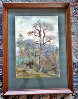 Akvarell kép, szignózott, 43x32 cm kerettel