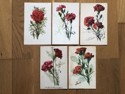 Régi SZEGFŰ virágos képeslapok
