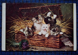 Antik Léon Huber üdvözlő képeslap cicák