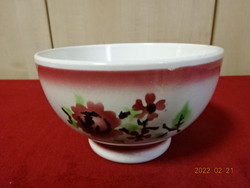 Granite porcelain, antique, hand-painted bowl, diameter 16.5 cm. He has! Jókai.