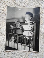 Régi fotó/életkép, kisgyerek, kisbaba a kiságyban macival 1930 körüli