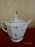 Mc Czechoslovak porcelain teapot with antique blue floral. He has! Jókai.