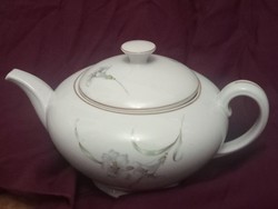 Fabulous new condition lily haas & čžjžek teapot from 1942 with German mark