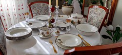 Zsolnay autumn-ginkgo tableware dining room 25-piece kk halina