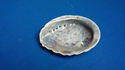 Abalone kagyló