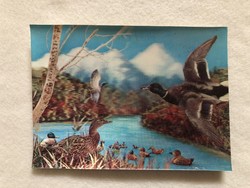 3D Old Wild Duck Postcard - Japan