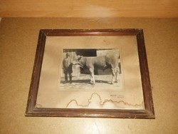 Antik fotó üvegezett képkeretben Róth műterem Makó  36,5*44,5 cm